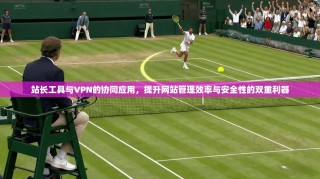 站长工具与VPN的协同应用，提升网站管理效率与安全性的双重利器