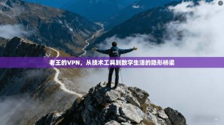 老王的VPN，从技术工具到数字生活的隐形桥梁