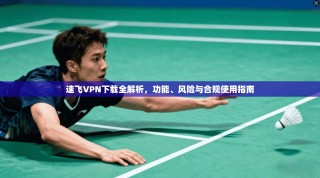 速飞VPN下载全解析，功能、风险与合规使用指南