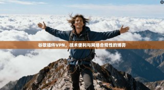 谷歌插件VPN，技术便利与网络合规性的博弈