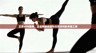 正规VPN服务，企业网络安全与合规访问的关键工具