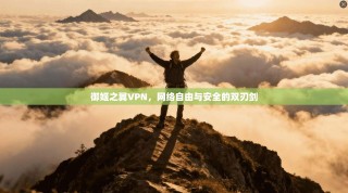 御姬之翼VPN，网络自由与安全的双刃剑