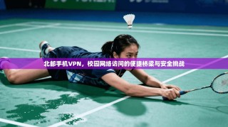 北邮手机VPN，校园网络访问的便捷桥梁与安全挑战