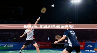 鱼摆摆VPN，隐私保护与网络自由的双刃剑