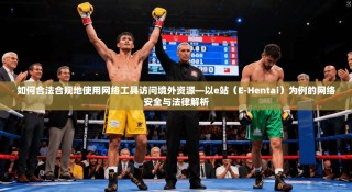 如何合法合规地使用网络工具访问境外资源—以e站（E-Hentai）为例的网络安全与法律解析