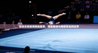 合法合规使用网络服务，理解翻墙与网络安全的边界
