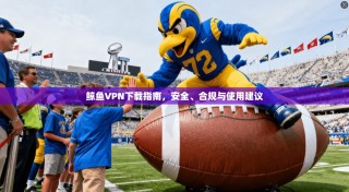 鲸鱼VPN下载指南，安全、合规与使用建议
