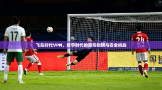 飞鸟时代VPN，数字时代的隐形翅膀与安全挑战