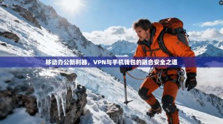 移动办公新利器，VPN与手机钱包的融合安全之道