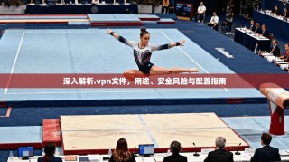 深入解析.vpn文件，用途、安全风险与配置指南