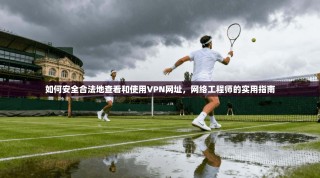 如何安全合法地查看和使用VPN网址，网络工程师的实用指南