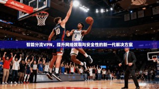 智能分流VPN，提升网络效率与安全性的新一代解决方案
