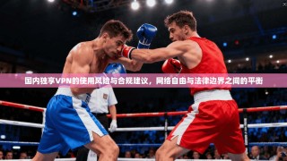 国内独享VPN的使用风险与合规建议，网络自由与法律边界之间的平衡
