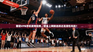 番茄VPN手机使用指南，安全上网新选择还是潜在风险？