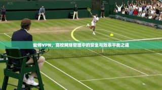 盐师VPN，高校网络管理中的安全与效率平衡之道