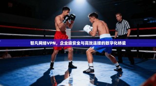 智凡网络VPN，企业级安全与高效连接的数字化桥梁