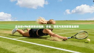 企业级VPN系统架设指南，安全、稳定与高效部署全解析