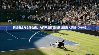 网络安全与合法合规，为何不应盲目购买虚拟私人网络（VPN）