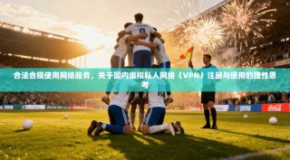 合法合规使用网络服务，关于国内虚拟私人网络（VPN）注册与使用的理性思考