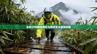 东软VPN网址解析与网络安全使用指南