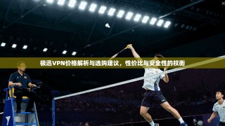 极迅VPN价格解析与选购建议，性价比与安全性的权衡