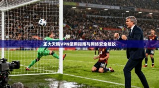 正大天晴VPN使用指南与网络安全建议
