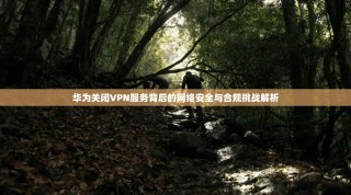 华为关闭VPN服务背后的网络安全与合规挑战解析