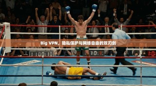 Big VPN，隐私保护与网络自由的双刃剑