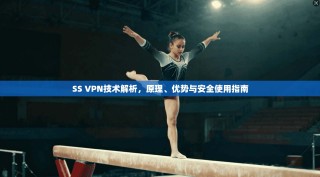 SS VPN技术解析，原理、优势与安全使用指南