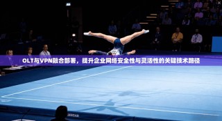 OLT与VPN融合部署，提升企业网络安全性与灵活性的关键技术路径
