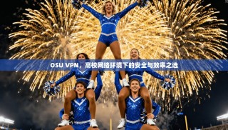 OSU VPN，高校网络环境下的安全与效率之选