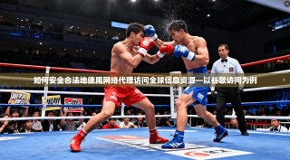 如何安全合法地使用网络代理访问全球信息资源—以谷歌访问为例