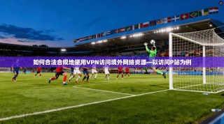 如何合法合规地使用VPN访问境外网络资源—以访问P站为例