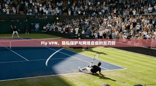 Fly VPN，隐私保护与网络自由的双刃剑