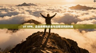 UT VPN，企业级网络安全与远程访问的利器