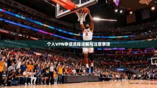 个人VPN申请流程详解与注意事项
