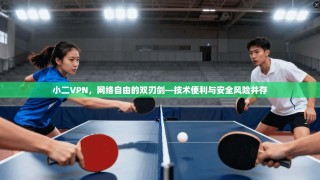 小二VPN，网络自由的双刃剑—技术便利与安全风险并存