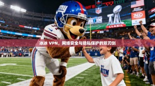 冰冰 VPN，网络安全与隐私保护的双刃剑