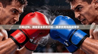 天网VPN，网络安全的双刃剑—技术优势与风险警示