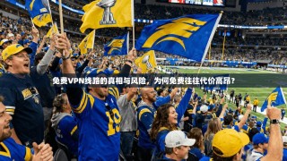 免费VPN线路的真相与风险，为何免费往往代价高昂？