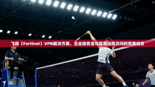 飞塔（Fortinet）VPN解决方案，企业级安全与高效远程访问的完美结合