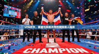 VPN月卡，便捷与风险并存的网络接入选择