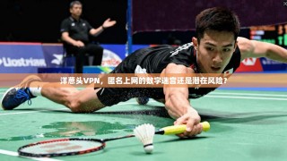 洋葱头VPN，匿名上网的数字迷宫还是潜在风险？