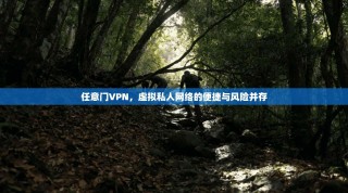 任意门VPN，虚拟私人网络的便捷与风险并存