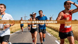 国内VPN91服务使用风险与合规性分析