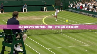 深入解析VPN流控技术，原理、应用场景与未来趋势