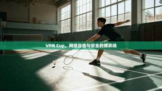 VPN Cup，网络自由与安全的博弈场