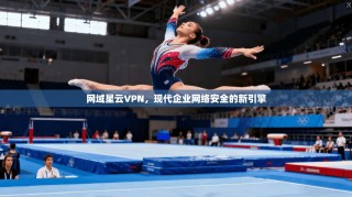 网域星云VPN，现代企业网络安全的新引擎