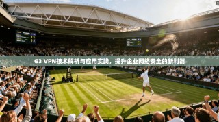 G3 VPN技术解析与应用实践，提升企业网络安全的新利器