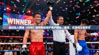 虚拟私人网络（VPN）如何有效保护用户隐私，原理、优势与注意事项